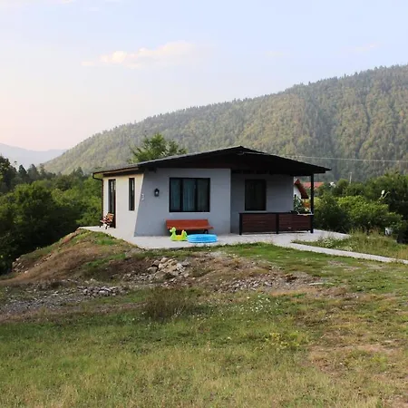 Borjomi Cottage Sadgeri Exterior photo