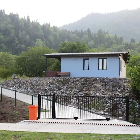 Borjomi Cottage Sadgeri Exterior photo