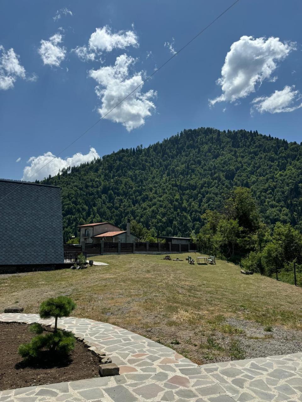Borjomi *